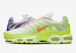 Nike Air Max Plus Color Flip