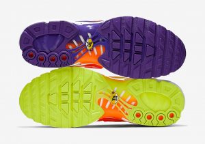 Nike Air Max Plus Color Flip