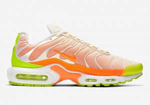 Nike Air Max Plus Color Flip