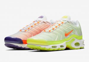 Nike Air Max Plus Color Flip