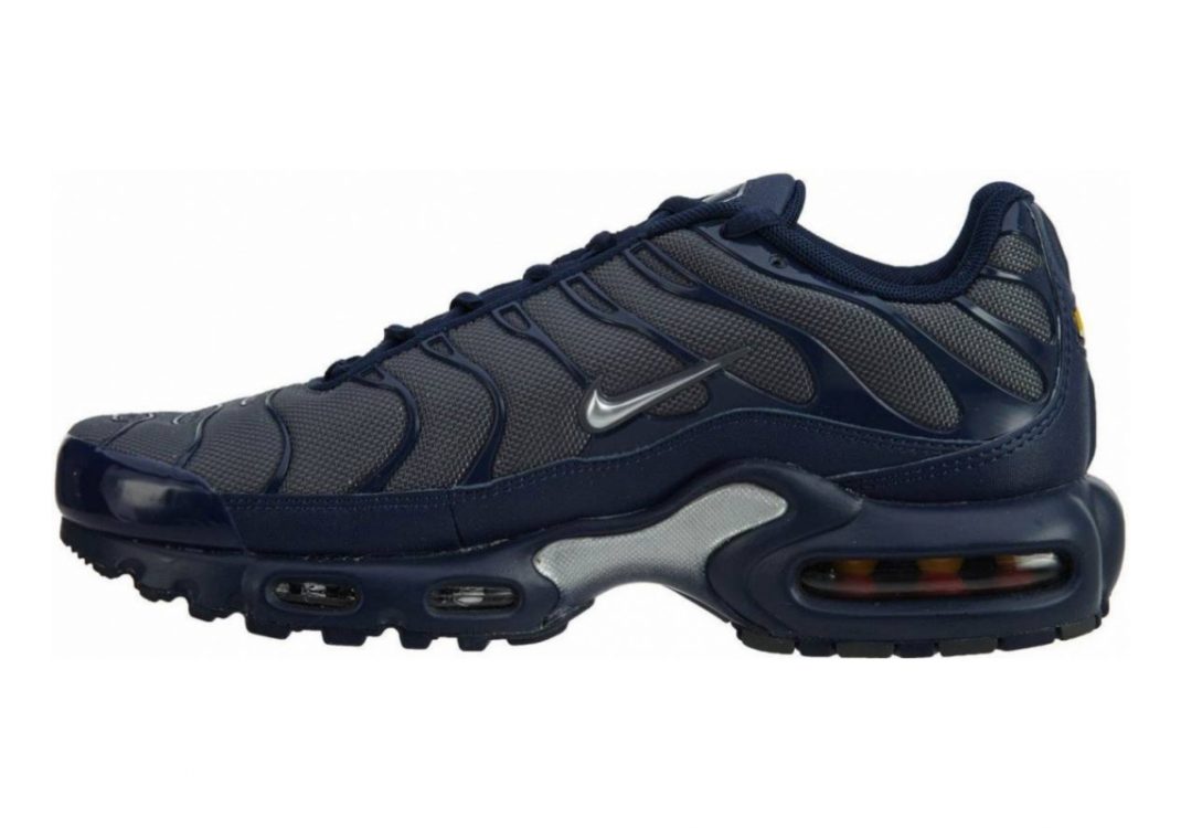 Nike Air Max Plus Bleu