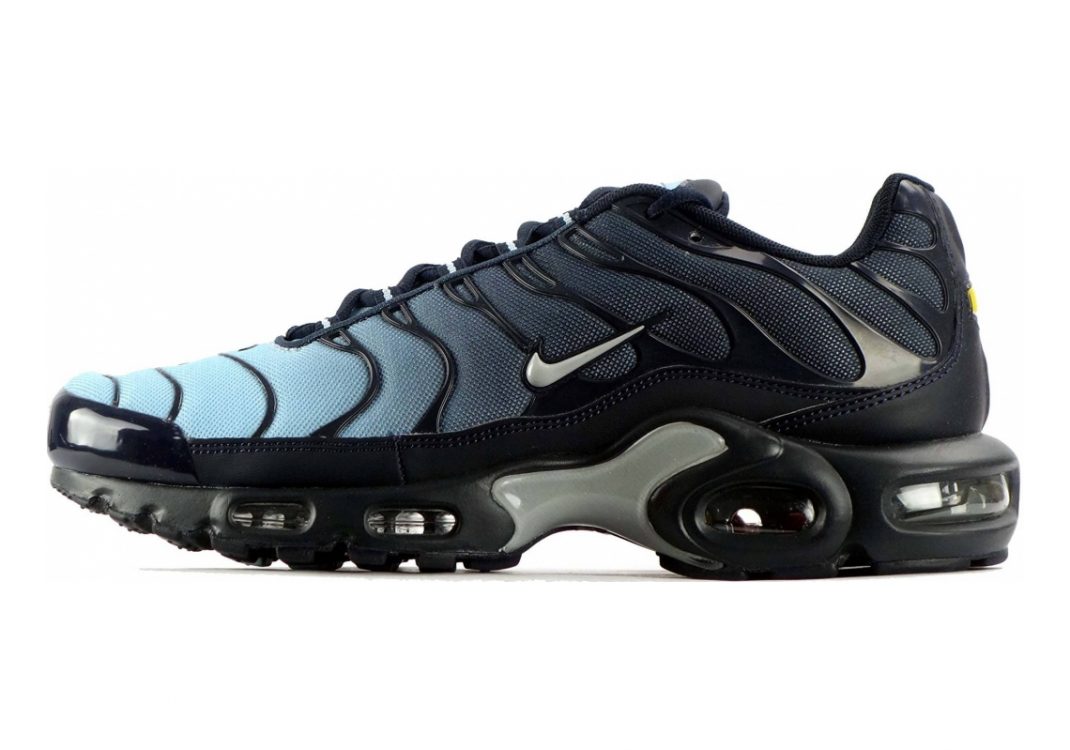 Nike Air Max Plus blue wolf grey 424