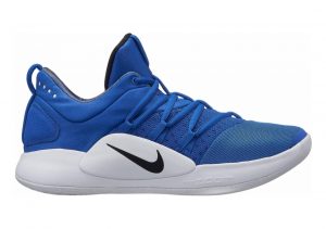 Nike Hyperdunk X Low Royal/White