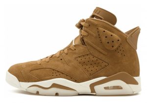 Air Jordan 6 Brown