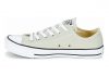 Converse Chuck Taylor All Star Seasonal Ox Grey