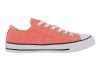 Converse Chuck Taylor All Star Seasonal Colors Low Top Pink