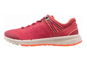 Ecco Intrinsic TR Walk Rot (Brick/Brick)