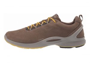 Ecco BIOM Fjuel Train Brown