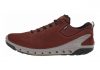 Ecco BIOM Venture GTX Tie Brandy/Brandy