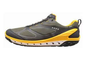 Ecco BIOM Venture GTX Black/Tarmac/Fanta