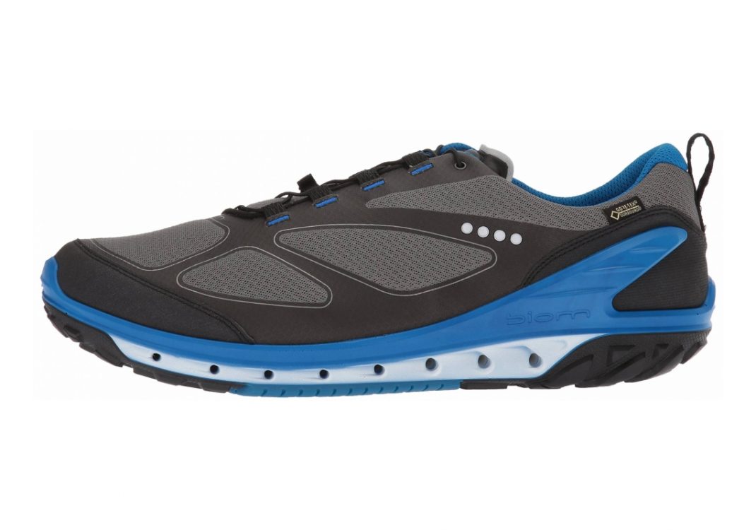 Ecco BIOM Venture GTX Black/Titanium/Dynasty