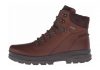 Ecco Rugged Track GTX High Bison/Mocha