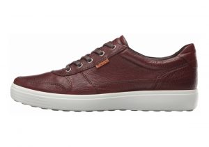 Ecco Soft 7 Sneaker Brown