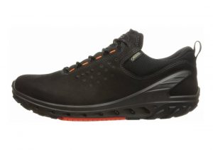 Ecco BIOM Venture GTX Black