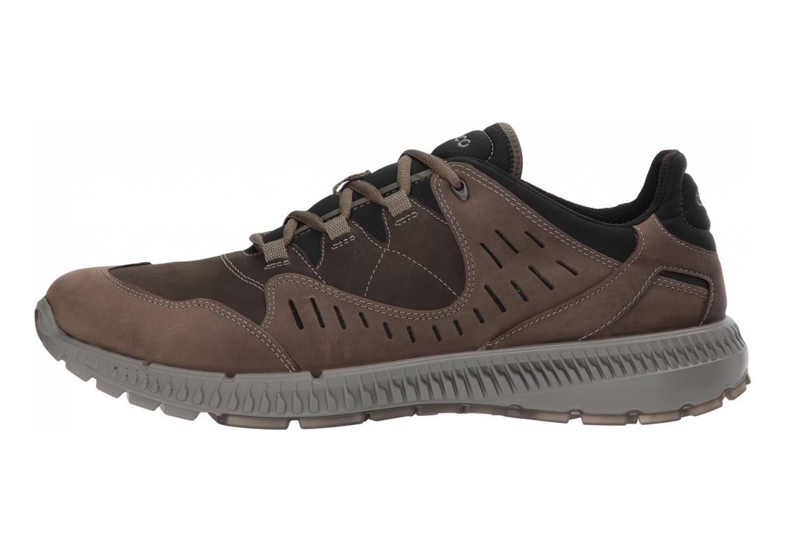 Ecco terrawalk 2025 hiking shoes