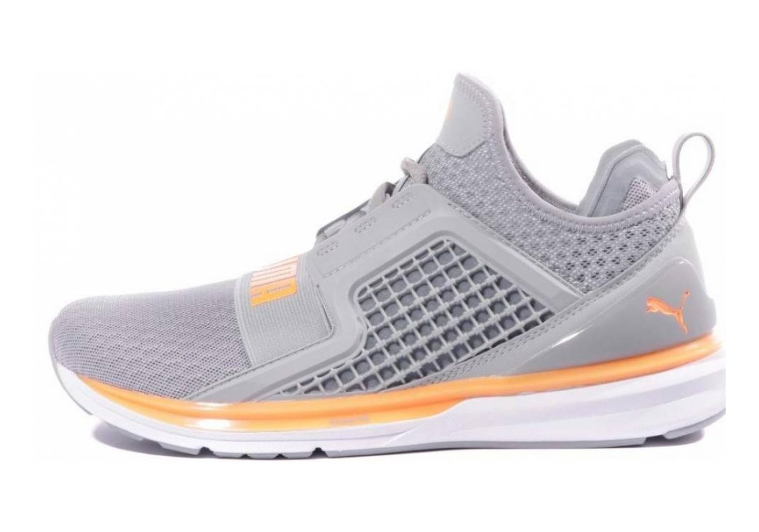Puma Ignite Limitless Grigio