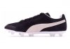 Puma Future Suede FG/AG Black (Schwarz / Beige Schwarz / Beige)