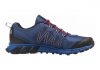 Reebok Trail Run RS Batik Blue / Handy Blue / Steel Grey / Neon Cherry