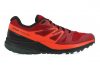 Salomon Sense Escape GTX Red Dahlia/Black/Che