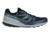 Salomon Sense Escape GTX Blue