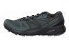 Salomon Sense Ride GTX Invisible Fit Black