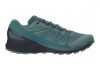 Salomon Sense Ride GTX Invisible Fit Green