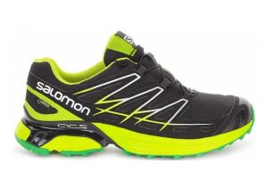 Salomon Wings Flyte GTX Green
