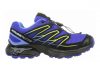 Salomon Wings Flyte GTX Blue