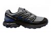 Salomon Wings Flyte GTX Grey