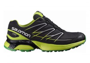Salomon Wings Flyte GTX Black