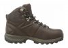 Berghaus Explorer Ridge Plus GTX Brown (Brown/Dark Gull Grey V38)