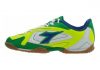 Diadora Quinto III Indoor White / Green