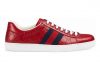 Gucci Ace Signature  gucci-ace-signature-eee1