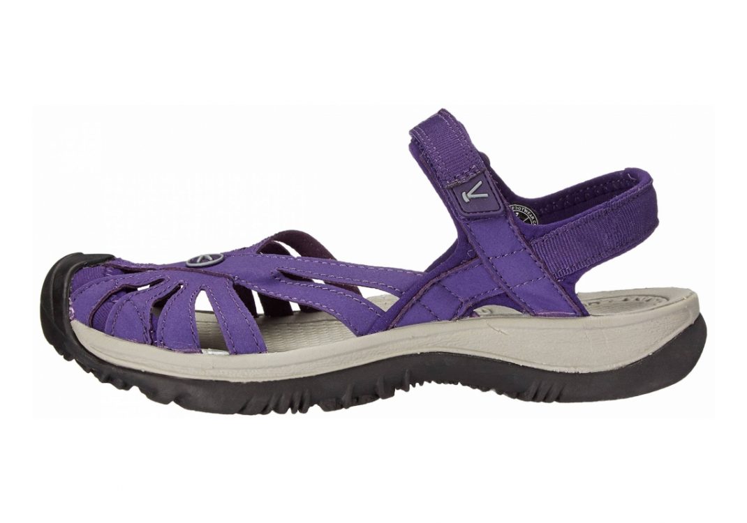 Keen Rose Purple