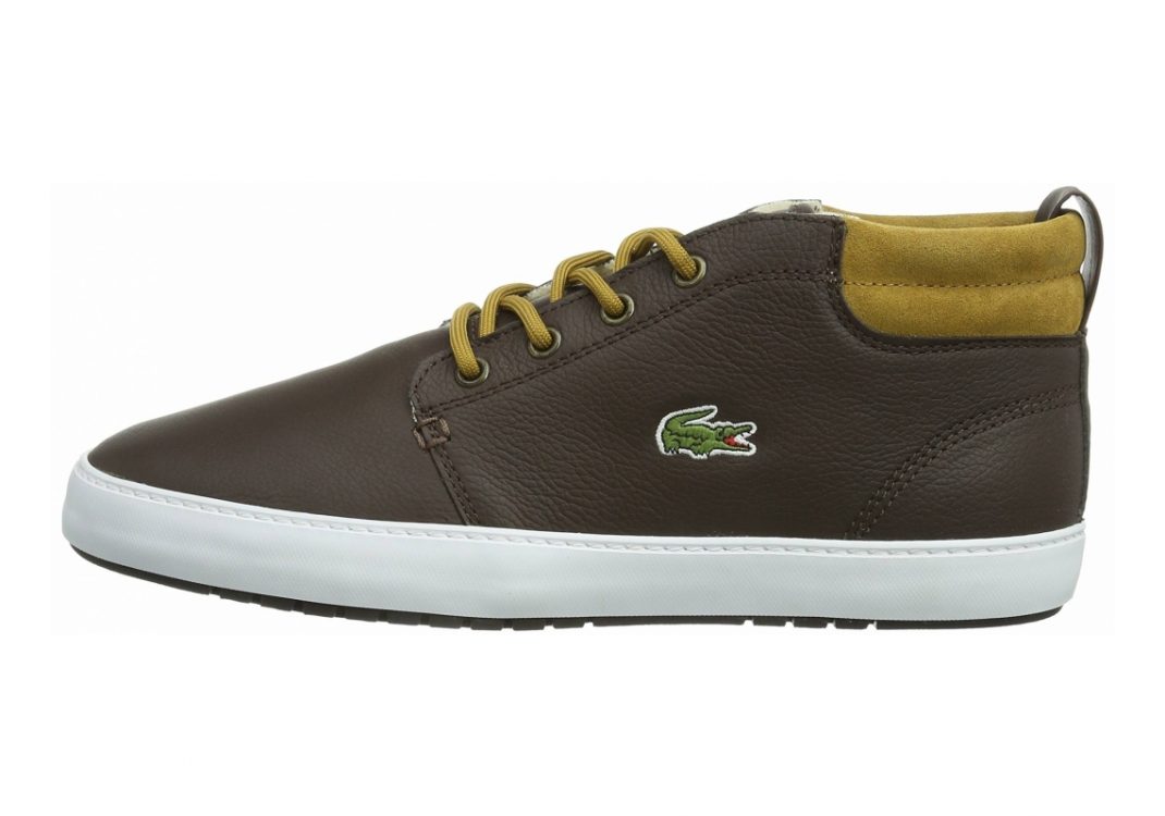 Lacoste Ampthill Brown