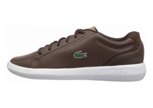 Lacoste Avantor Brown