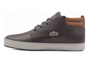 Lacoste Ampthill Brown