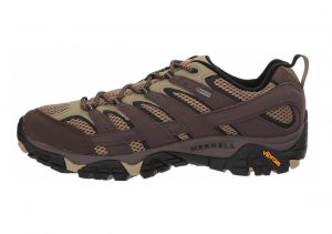 Merrell Moab 2 GTX Brown