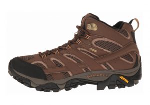 Merrell Moab 2 Mid GTX Brown