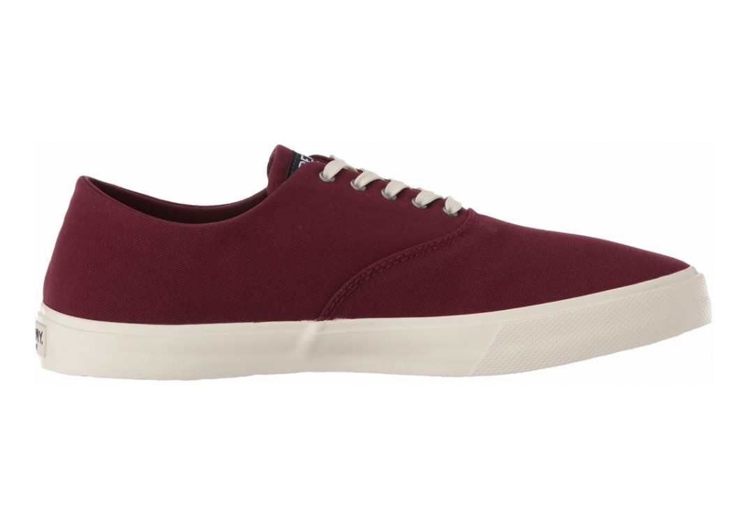 Sperry Captain's CVO  Wine
