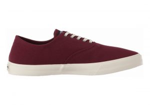 Sperry Captain's CVO  Wine
