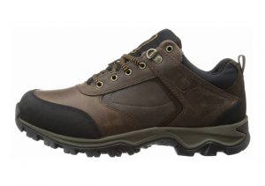 Timberland Mt. Maddsen Low Brown