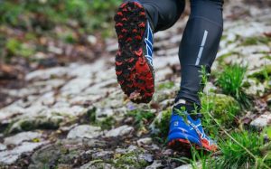 Salomon Speedcross 4 Blue Red