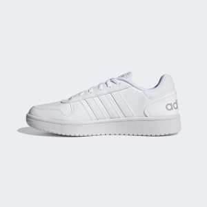 Adidas Hoops 2.0 White