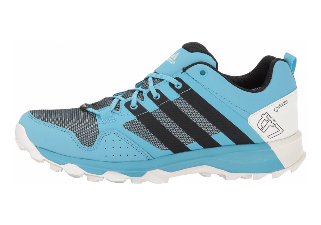 Adidas Kanadia 7 GTX - Blue (S80836)