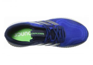 Hi-res Blue/Silver Metallic/Collegiate Royal (AQ0547)