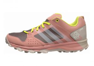 Rosa (Rosa (Rosvap / Limsho / Rosnat)) (AQ4067)