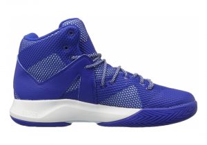 Collegiate Royal/White/Ice Blue F16 (AQ7756)