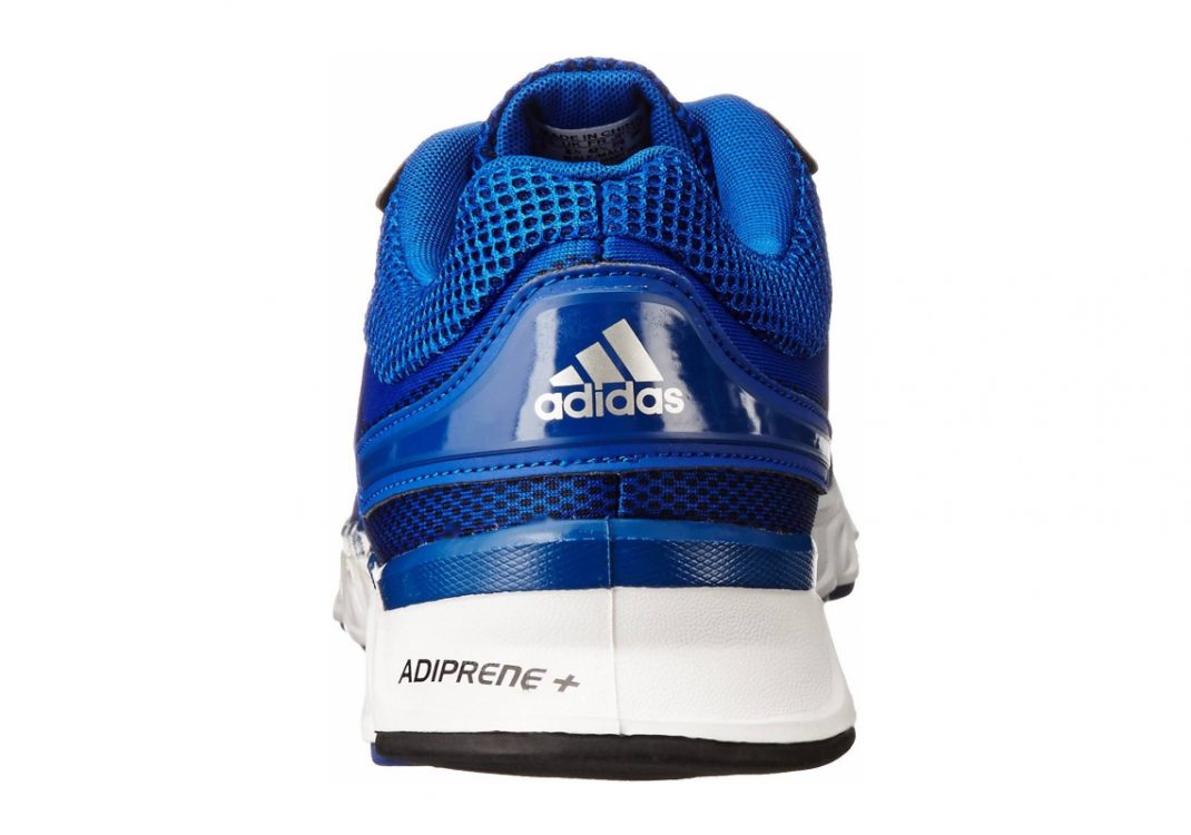 Collegiate Royal Silver Navy (C75688)