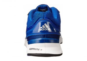 Collegiate Royal Silver Navy (C75688)